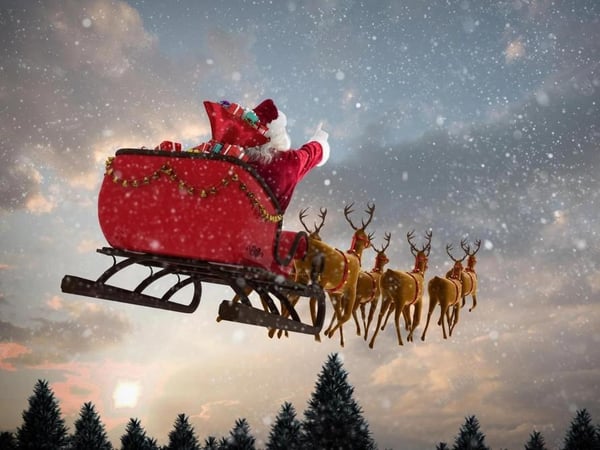 Spectacles de noël au Francois