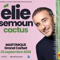 Elie Semoun dans Cactus