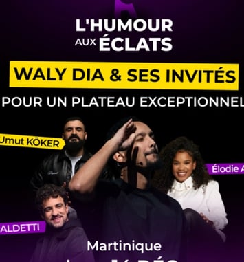 Humour aux Éclats avec Waly Dia et ses Invités