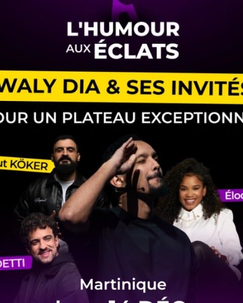 Humour aux Éclats avec Waly Dia et ses Invités
