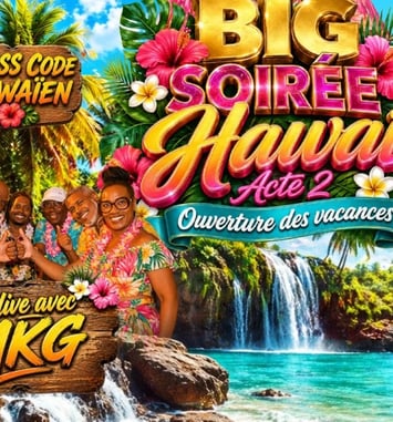 Big Soirée Hawaï : Acte 2