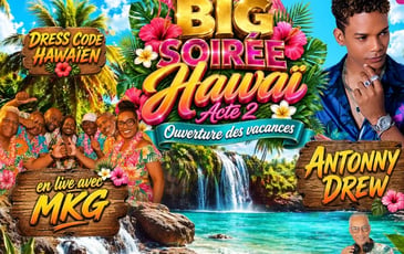 Big Soirée Hawaï : Acte 2
