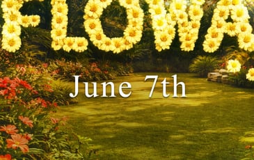 Garden Caribbean et Soda Flowa