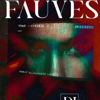 Nuits Fauves