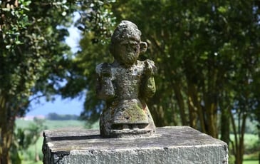 Le Macouba / Habitation Bellevue, Visites commentées