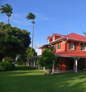Le Macouba / Habitation Bellevue, visite libre