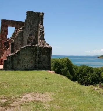 Visite guidée du Château Dubuc