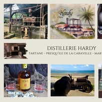 Visite de la Distillerie Hardy suite à sa restauration, sauvegarde des anciennes machines, et découverte de son roof top vue sur mer.