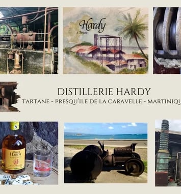 Visite de la Distillerie Hardy suite à sa restauration, sauvegarde des anciennes machines, et découverte de son roof top vue sur mer.