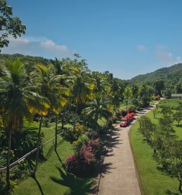 Visite contée en "ti train" de la distillerie Maison La Mauny avec l'Association Martinique Images