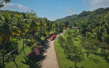 Visite contée en "ti train" de la distillerie Maison La Mauny avec l'Association Martinique Images