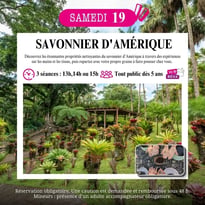Découverte du savonnier d'Amérique