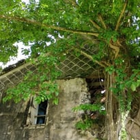 Visite commentée de l'Habitation Dufferet