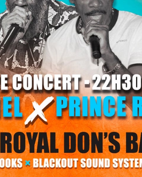 Ras Daniel [Ruff Nèg] X Radical [Métal Sound] & The Royal Don’s Band - Live Concert - DJ Dem Boss