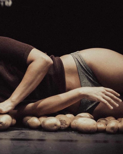 Catarina Barbosa : Estranha forma