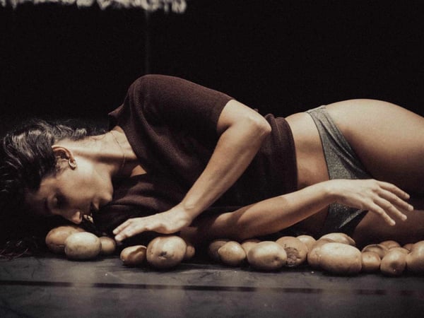 Catarina Barbosa : Estranha forma